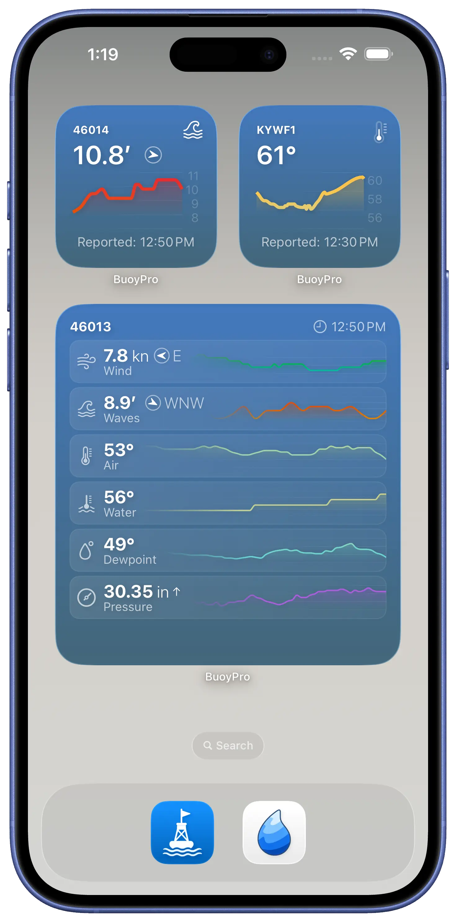 BuoyPro home screen widgets